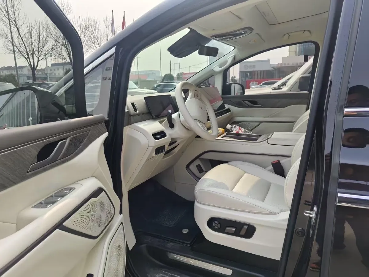 2025 WEY HighMountain 1.5T 170HP L4 4DHT PHEV,autocango,china used car exporter,china ev exporter,chinese used car exporter,chinese used ev exporter