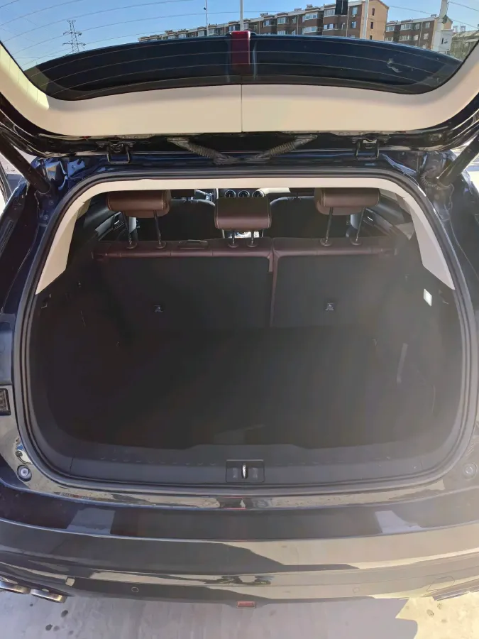 2021 WEY VV6 2.0T 227HP L4 7DCT,autocango,china used car exporter,china ev exporter,chinese used car exporter,chinese used ev exporter