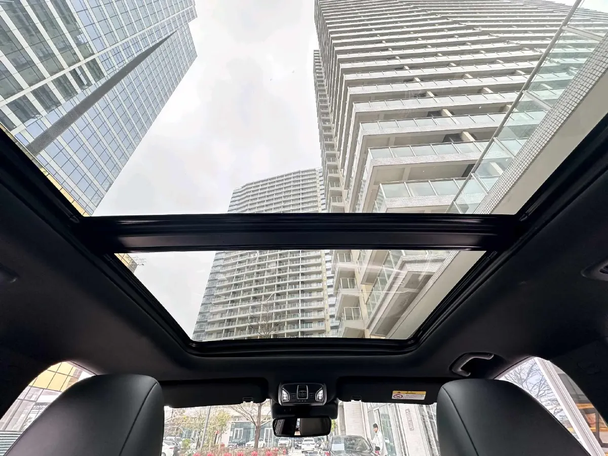 2022 GAC Trumpchi GS8 2.0T 252HP L4 8AT,autocango,china used car exporter,china ev exporter,chinese used car exporter,chinese used ev exporter