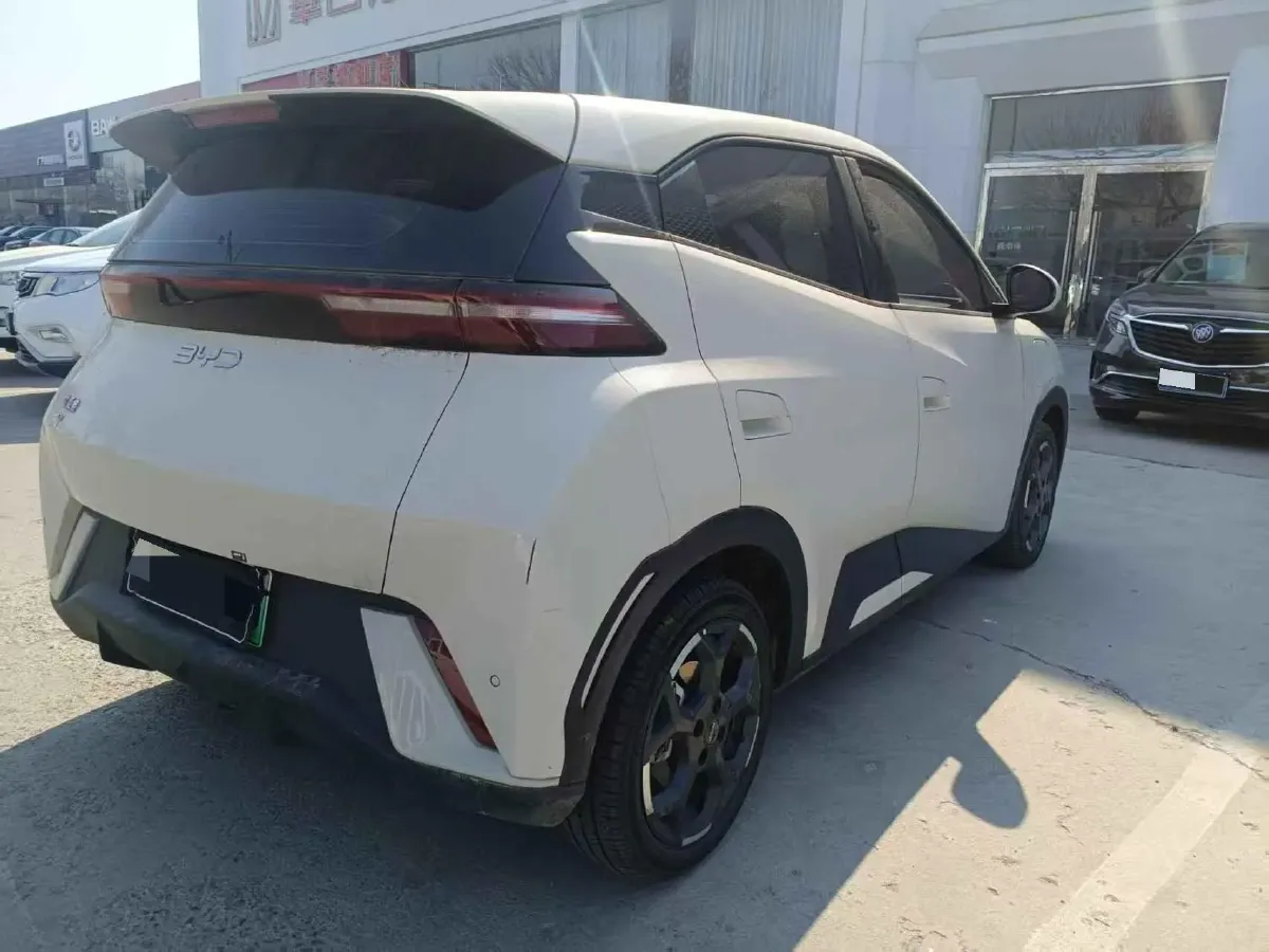 2024 BYD Seagull BEV 30.08KWH,autocango,china used car exporter,china ev exporter,chinese used car exporter,chinese used ev exporter