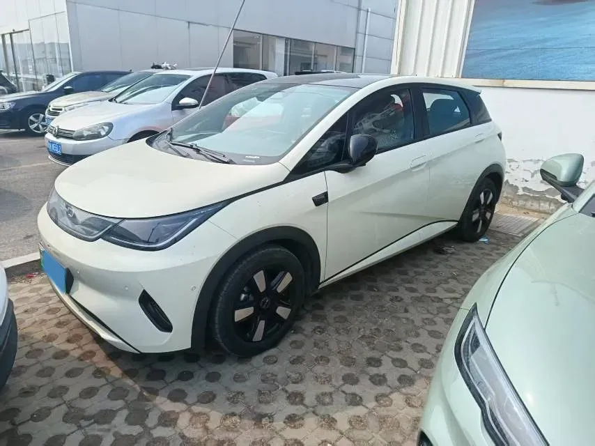2025 BYD Dolphin BEV 45.12KWH,autocango,china used car exporter,china ev exporter,chinese used car exporter,chinese used ev exporter