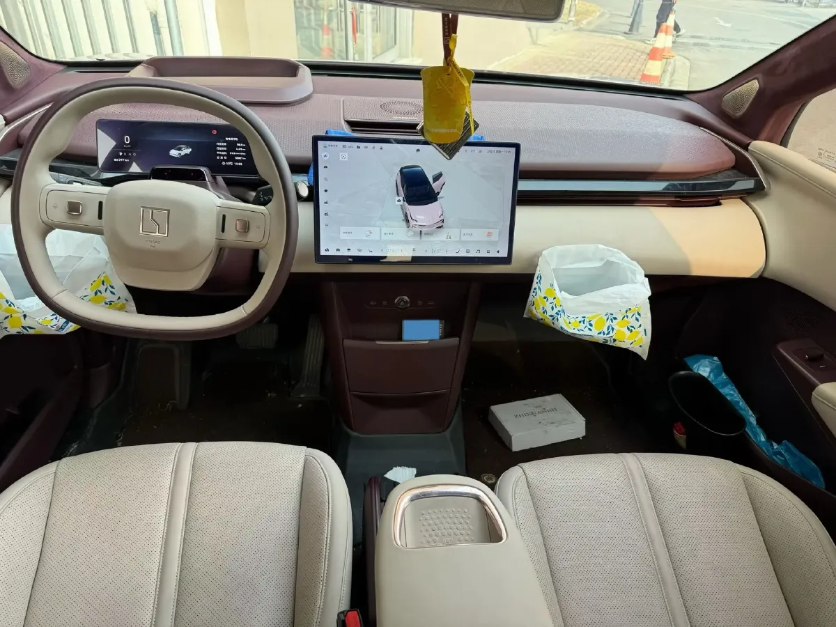 2023 Zeekr X BEV 66KWH,autocango,china used car exporter,china ev exporter,chinese used car exporter,chinese used ev exporter