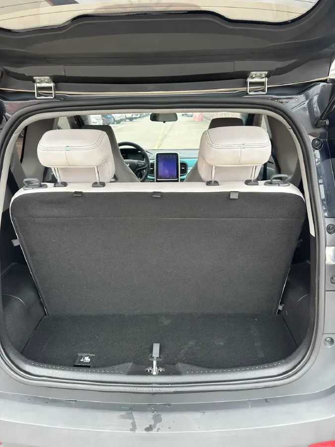 2021 Chery Little Ant BEV 30.6KWH,autocango,china used car exporter,china ev exporter,chinese used car exporter,chinese used ev exporter