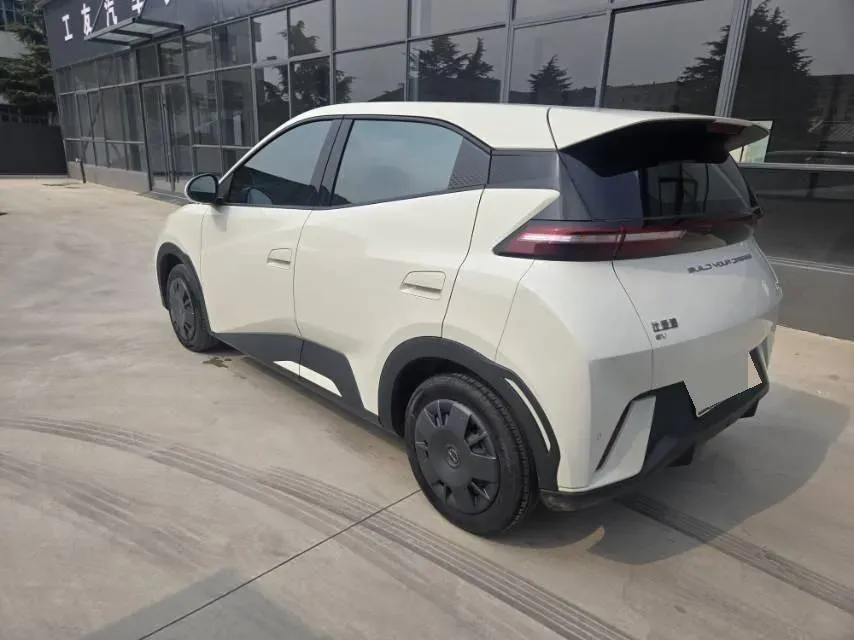 2024 BYD Seagull BEV 30.08KWH,autocango,china used car exporter,china ev exporter,chinese used car exporter,chinese used ev exporter