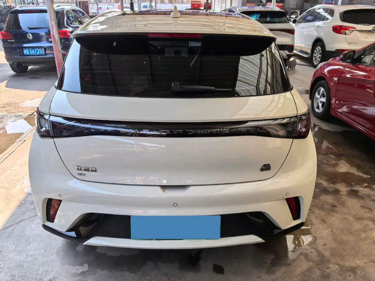 2023 BYD Dolphin BEV 44.928KWH,autocango,china used car exporter,china ev exporter,chinese used car exporter,chinese used ev exporter