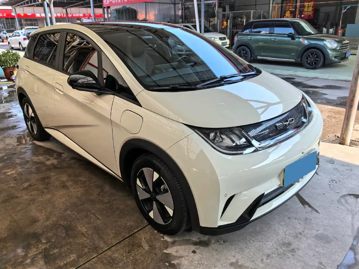 2023 BYD Dolphin BEV 44.928KWH,autocango,china used car exporter,china ev exporter,chinese used car exporter,chinese used ev exporter
