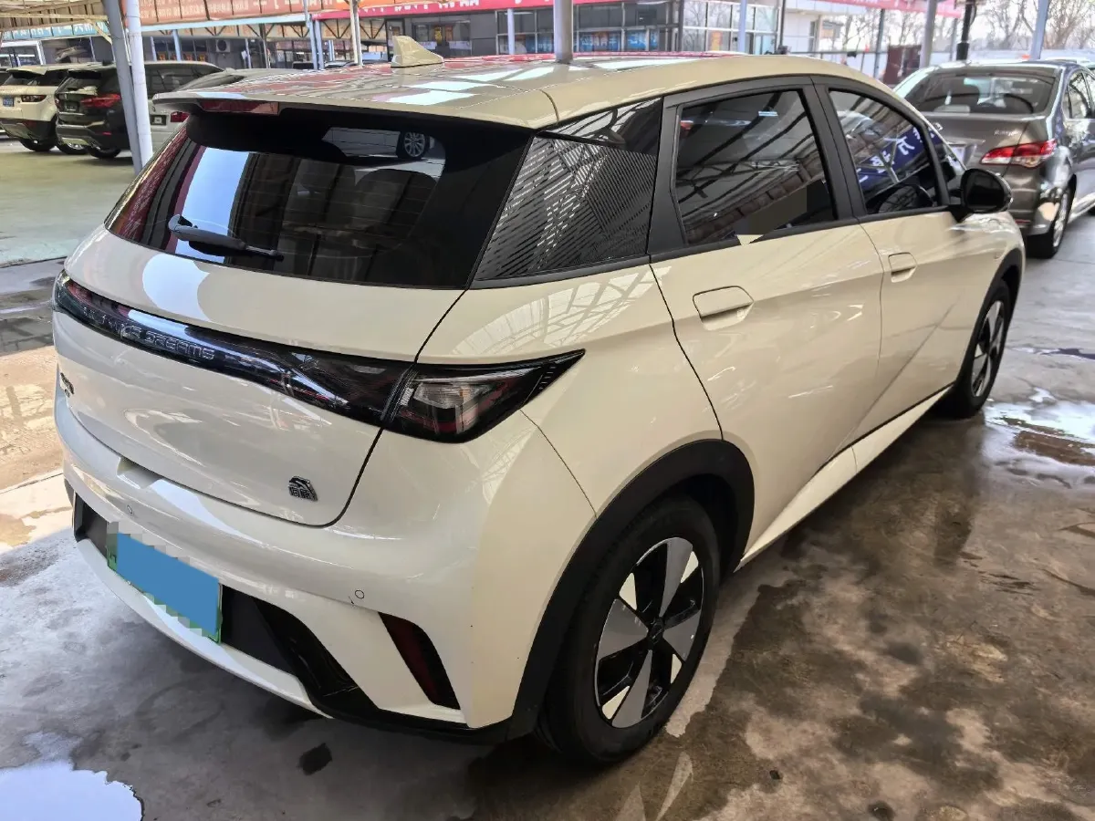 2023 BYD Dolphin BEV 44.928KWH,autocango,china used car exporter,china ev exporter,chinese used car exporter,chinese used ev exporter