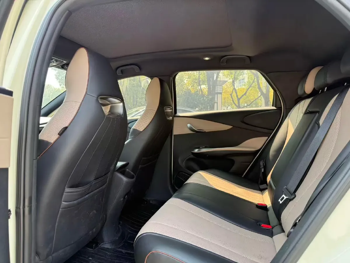 2023 BYD Dolphin BEV 44.928KWH,autocango,china used car exporter,china ev exporter,chinese used car exporter,chinese used ev exporter