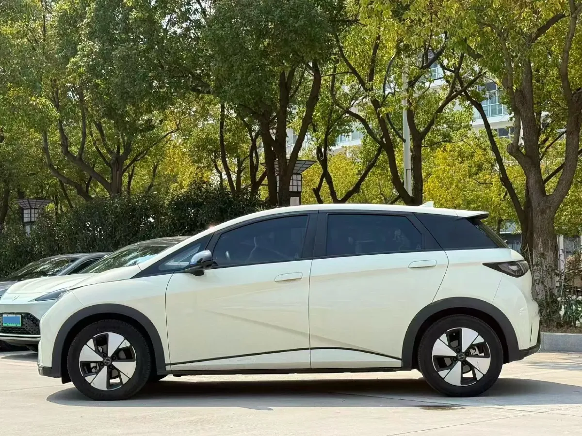 2023 BYD Dolphin BEV 44.928KWH,autocango,china used car exporter,china ev exporter,chinese used car exporter,chinese used ev exporter