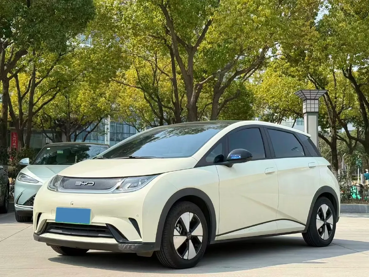 2023 BYD Dolphin BEV 44.928KWH,autocango,china used car exporter,china ev exporter,chinese used car exporter,chinese used ev exporter