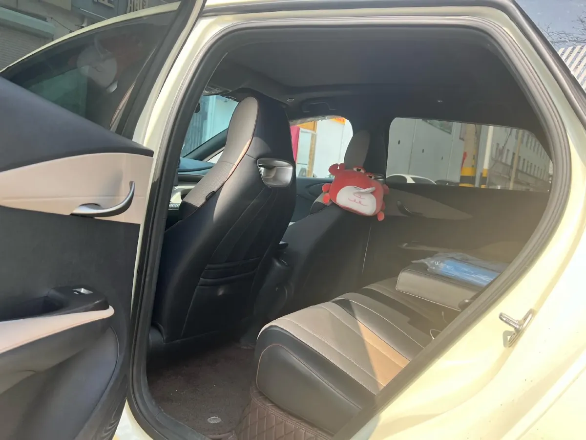 2023 BYD Dolphin BEV 44.928KWH,autocango,china used car exporter,china ev exporter,chinese used car exporter,chinese used ev exporter