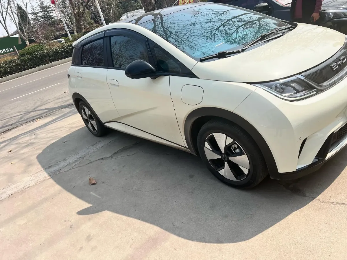 2023 BYD Dolphin BEV 44.928KWH,autocango,china used car exporter,china ev exporter,chinese used car exporter,chinese used ev exporter