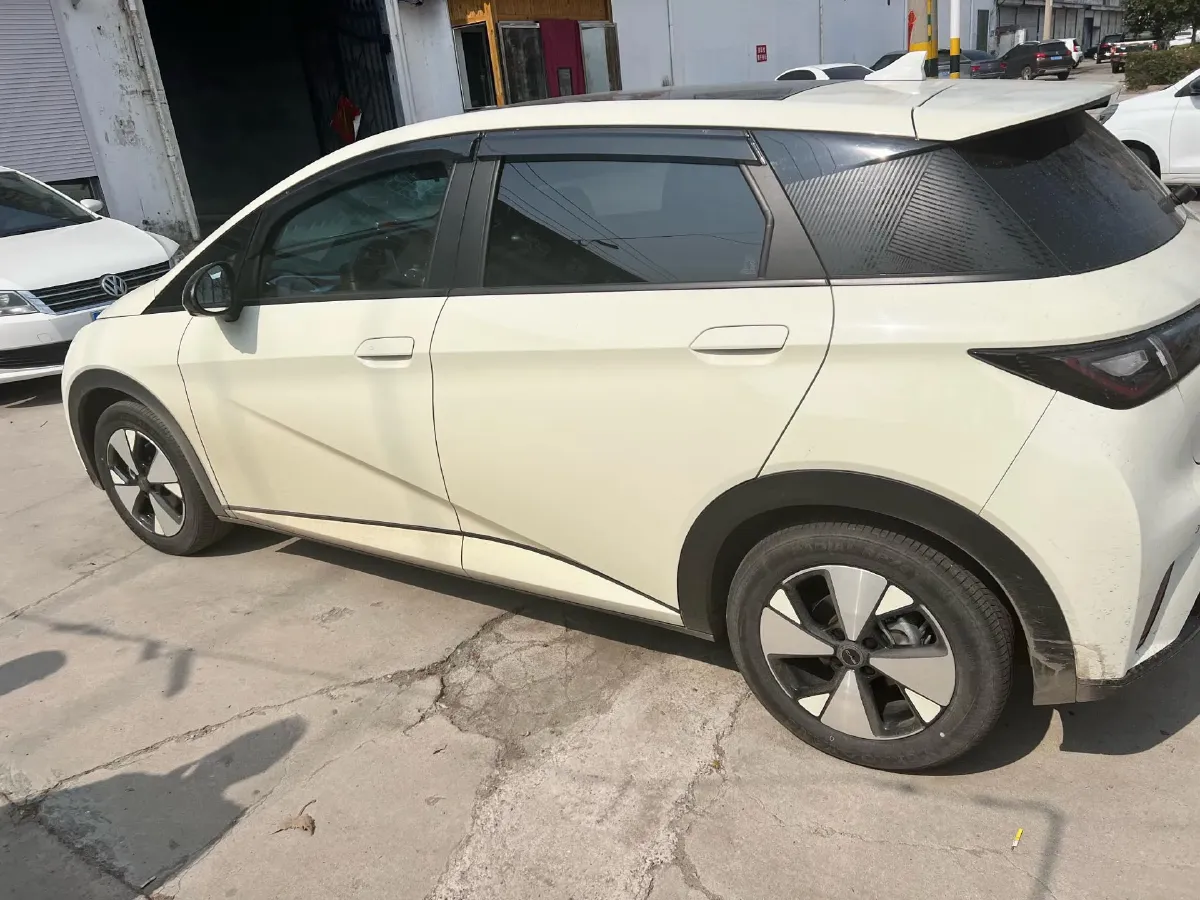 2023 BYD Dolphin BEV 44.928KWH,autocango,china used car exporter,china ev exporter,chinese used car exporter,chinese used ev exporter