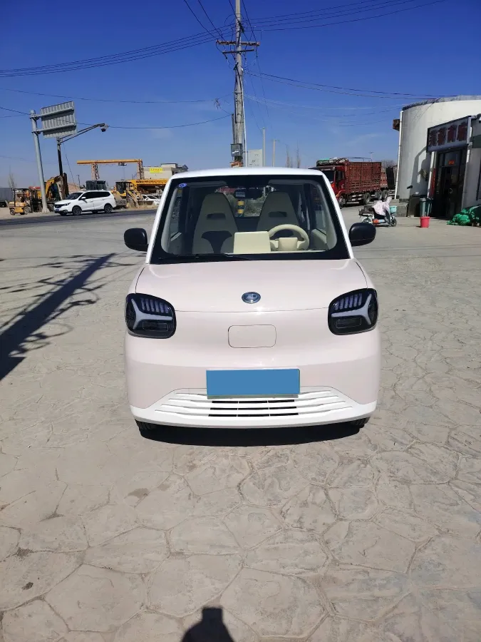 2024 ZD Rainbow BEV 17.3KWH,autocango,china used car exporter,china ev exporter,chinese used car exporter,chinese used ev exporter