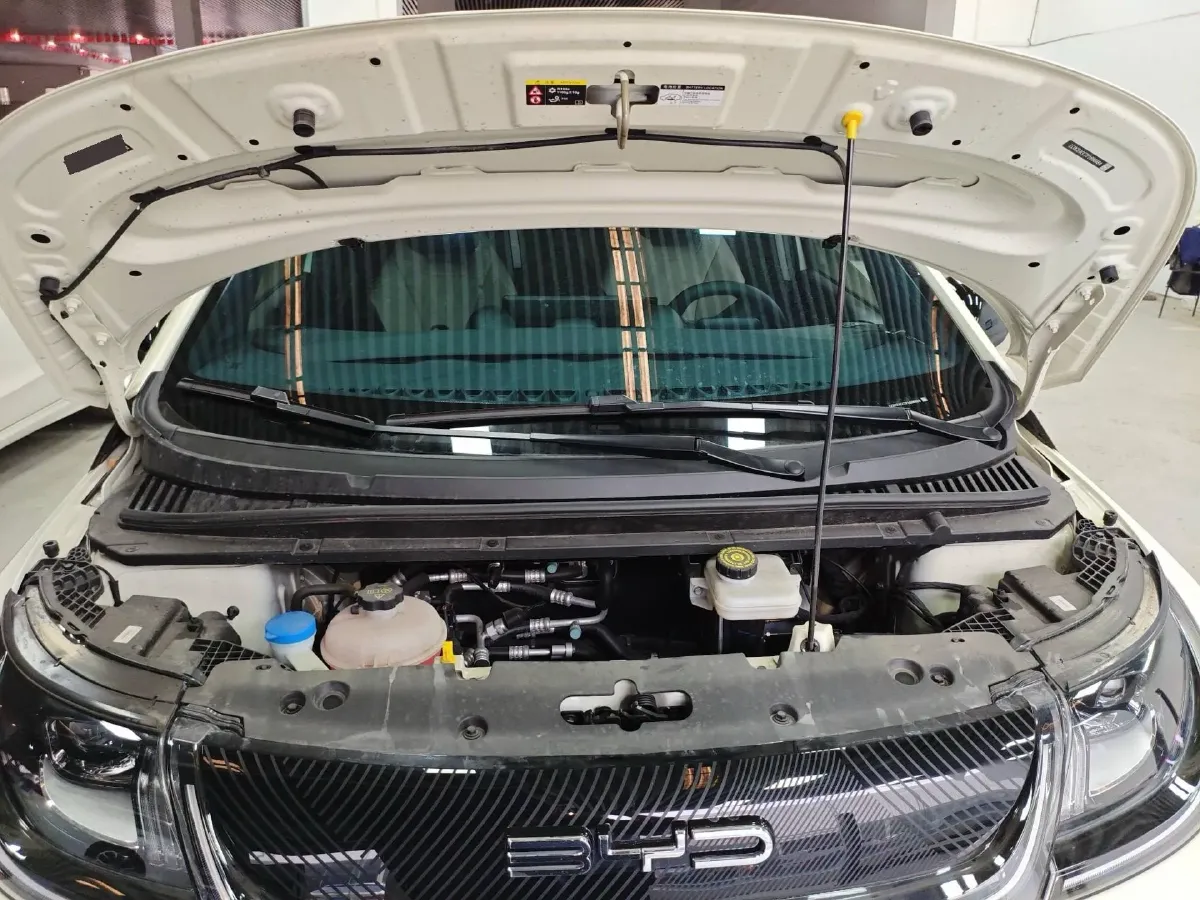 2023 BYD Dolphin BEV 44.928KWH,autocango,china used car exporter,china ev exporter,chinese used car exporter,chinese used ev exporter