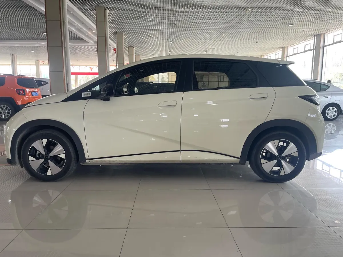 2023 BYD Dolphin BEV 44.928KWH,autocango,china used car exporter,china ev exporter,chinese used car exporter,chinese used ev exporter