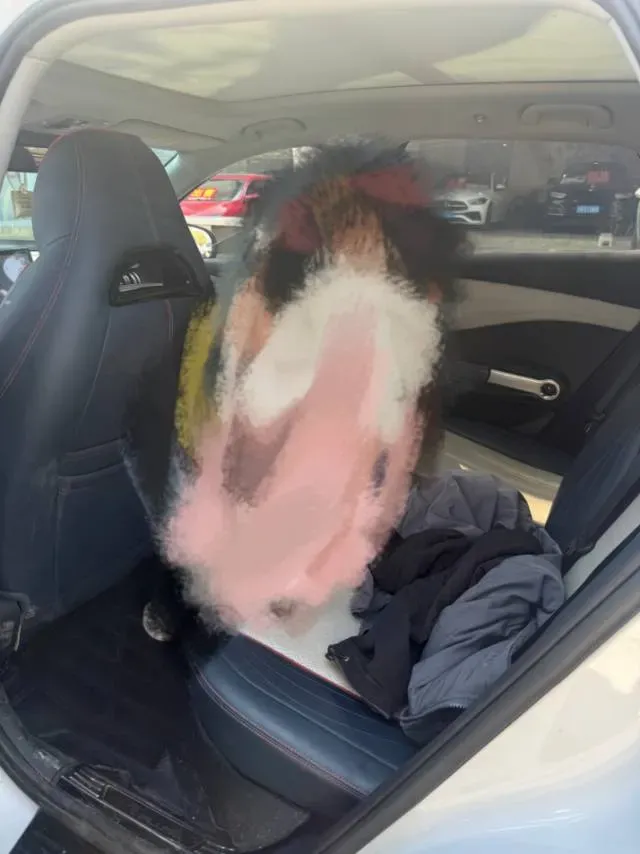 2022 Roewe RX5 MAX 1.5T 181HP L4 6AT,autocango,china used car exporter,china ev exporter,chinese used car exporter,chinese used ev exporter