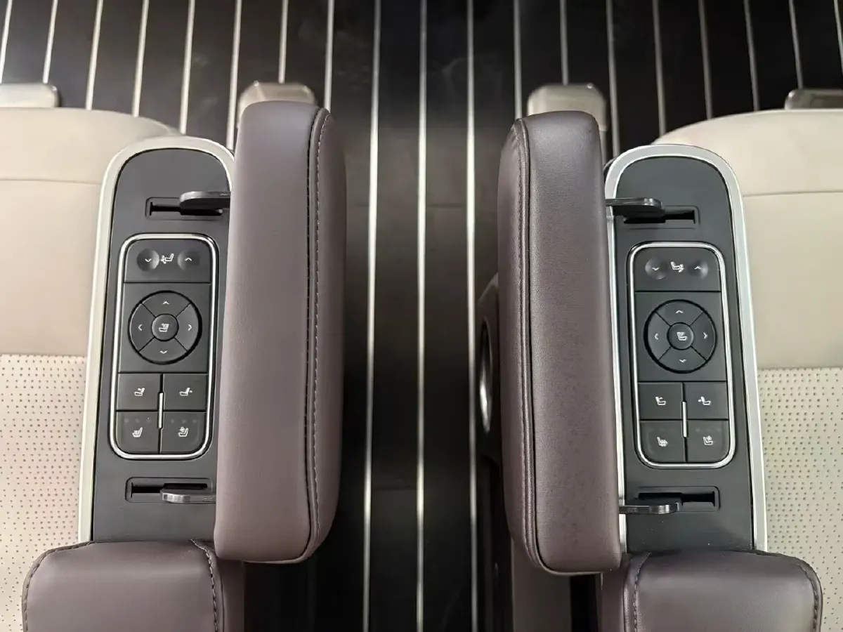 2021 GAC Trumpchi M8 2.0T 252HP L4 8AT,autocango,china used car exporter,china ev exporter,chinese used car exporter,chinese used ev exporter