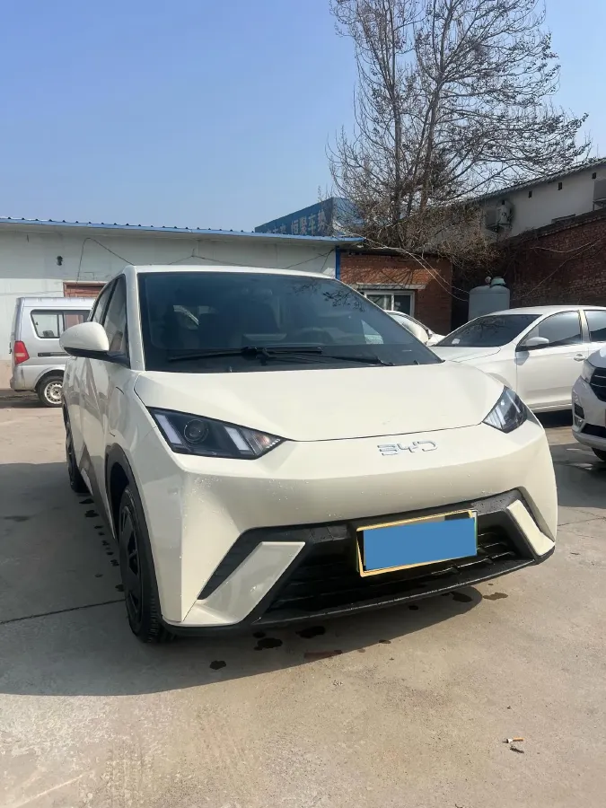 2024 BYD Seagull BEV 30.08KWH,autocango,china used car exporter,china ev exporter,chinese used car exporter,chinese used ev exporter