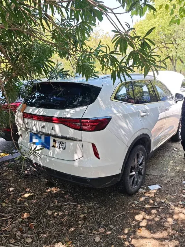 2021 Haval H6 1.5T 169HP L4 7DCT,autocango,china used car exporter,china ev exporter,chinese used car exporter,chinese used ev exporter