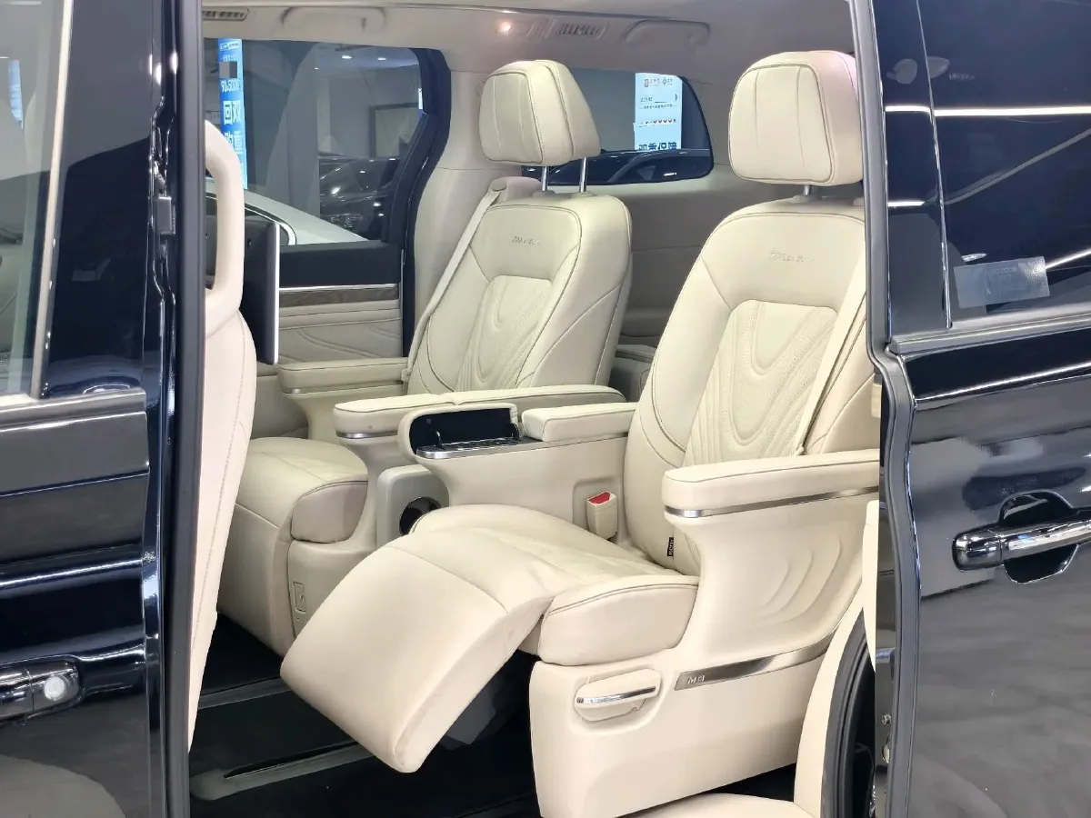 2023 GAC Trumpchi M8 2.0T 252HP L4 8AT,autocango,china used car exporter,china ev exporter,chinese used car exporter,chinese used ev exporter