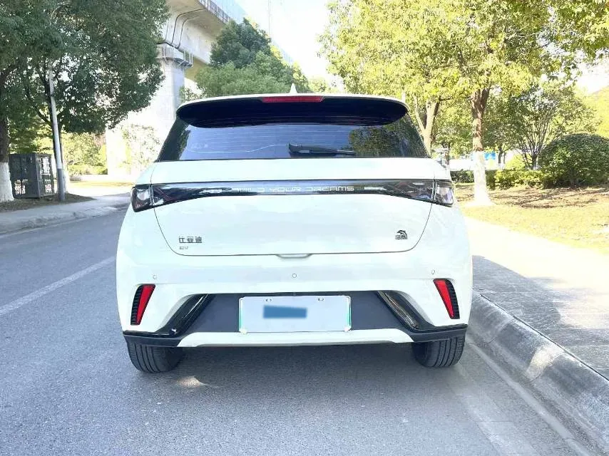 2023 BYD Dolphin BEV 44.928KWH,autocango,china used car exporter,china ev exporter,chinese used car exporter,chinese used ev exporter