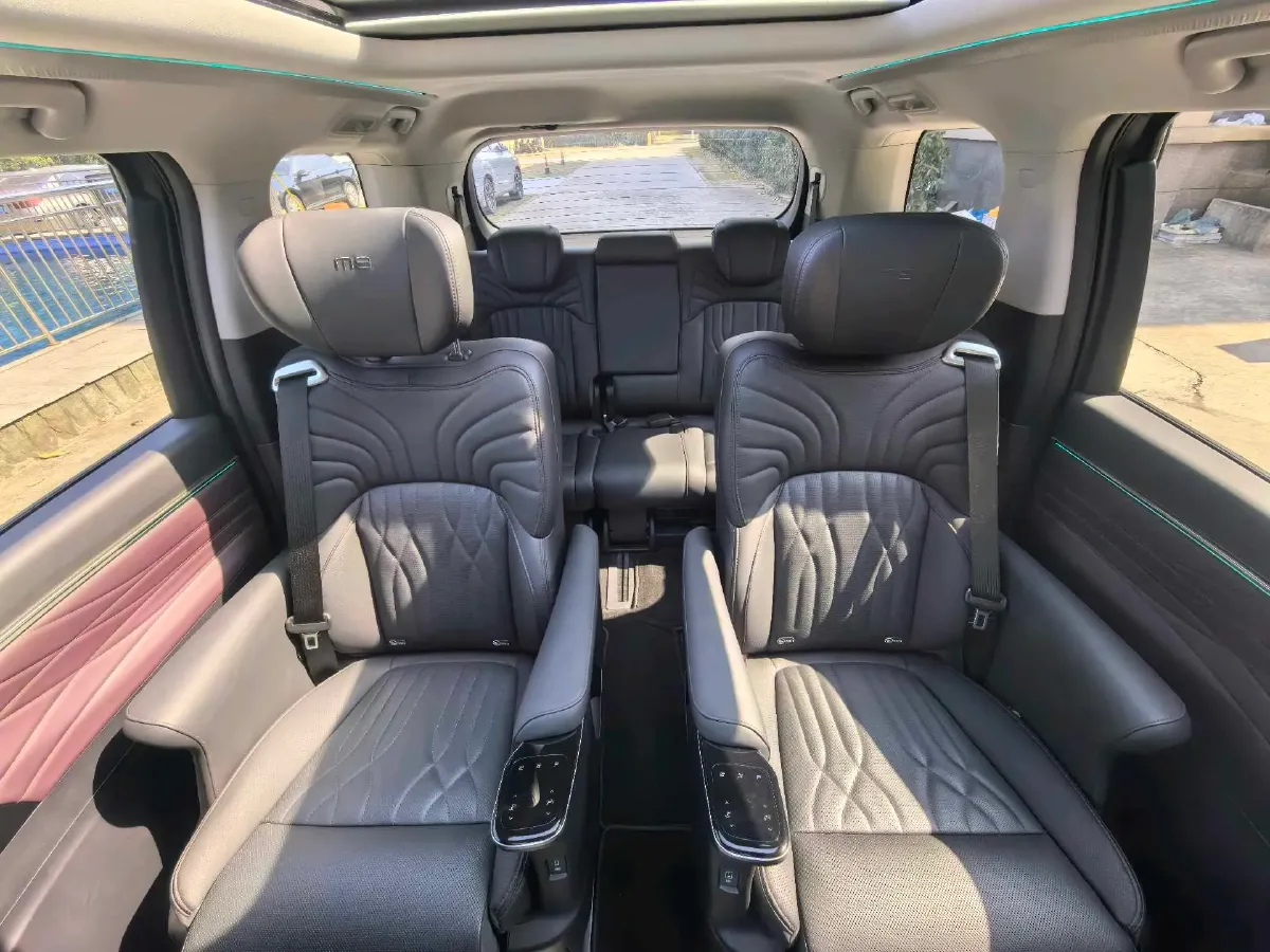 2024 GAC Trumpchi M8 2.0T 252HP L4 8AT,autocango,china used car exporter,china ev exporter,chinese used car exporter,chinese used ev exporter