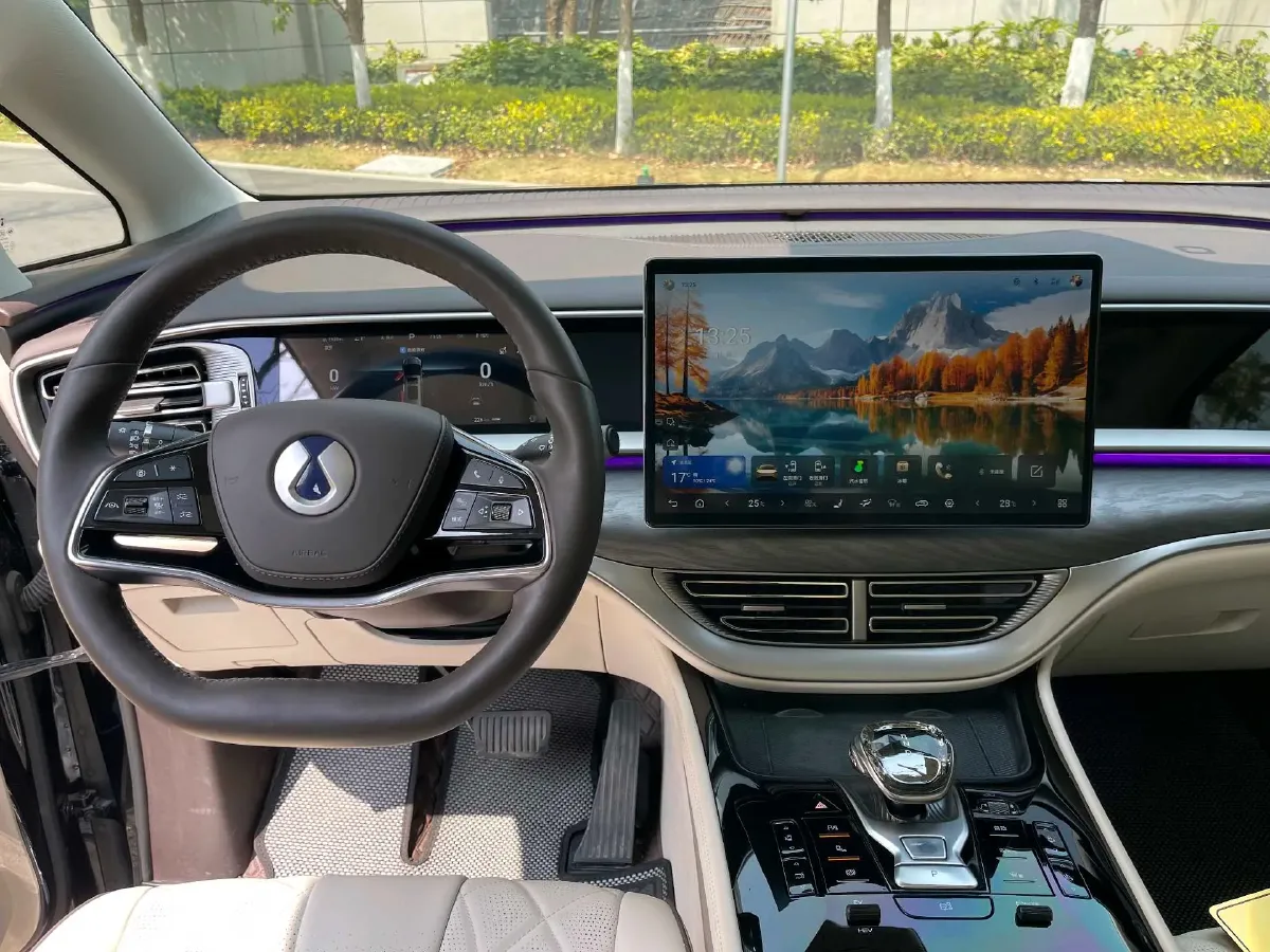 2024 Denza D9 1.5T 139HP L4 E-CVT PHEV 40KWH,autocango,china used car exporter,china ev exporter,chinese used car exporter,chinese used ev exporter