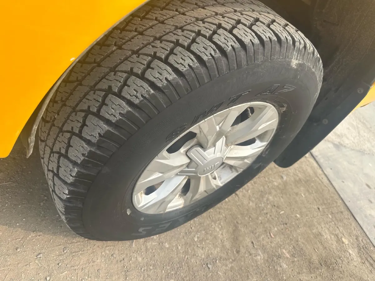 2019 Isuzu RE-MAX Jim 2.0T 204HP L4 5MT,autocango,china used car exporter,china ev exporter,chinese used car exporter,chinese used ev exporter