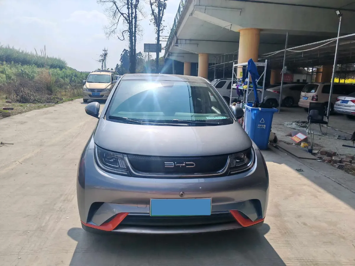 2023 BYD Dolphin BEV 44.928KWH,autocango,china used car exporter,china ev exporter,chinese used car exporter,chinese used ev exporter