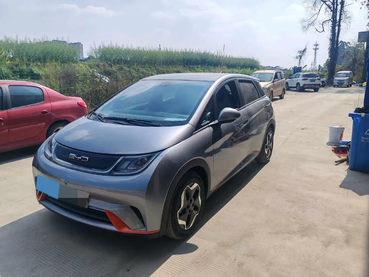 2023 BYD Dolphin BEV 44.928KWH,autocango,china used car exporter,china ev exporter,chinese used car exporter,chinese used ev exporter