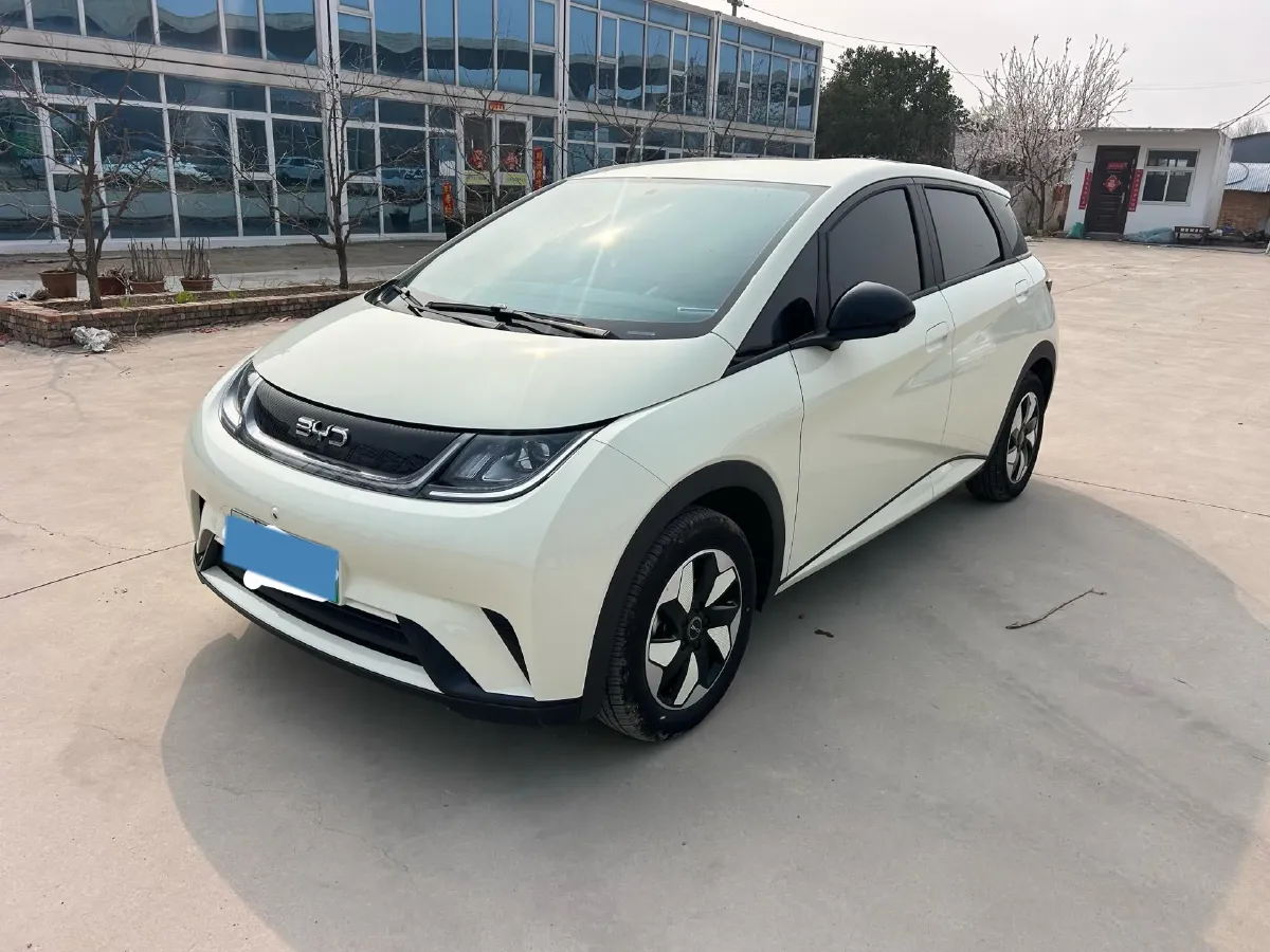 2025 BYD Dolphin BEV 44.928KWH,autocango,china used car exporter,china ev exporter,chinese used car exporter,chinese used ev exporter
