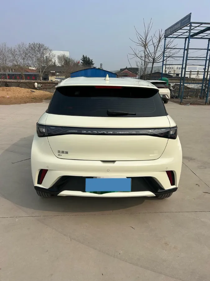 2025 BYD Dolphin BEV 44.928KWH,autocango,china used car exporter,china ev exporter,chinese used car exporter,chinese used ev exporter