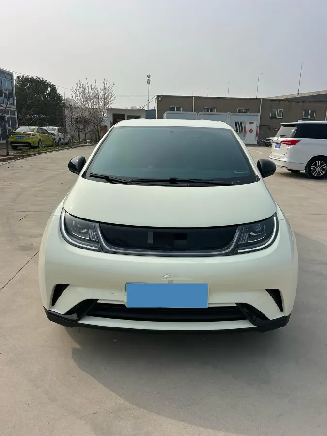 2025 BYD Dolphin BEV 44.928KWH,autocango,china used car exporter,china ev exporter,chinese used car exporter,chinese used ev exporter