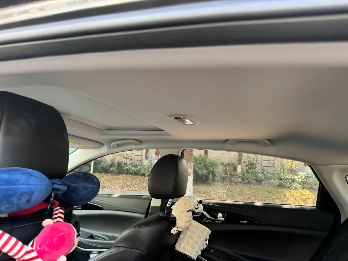 2022 ChangAn Raeton CC 1.5T 188HP L4 7DCT,autocango,china used car exporter,china ev exporter,chinese used car exporter,chinese used ev exporter