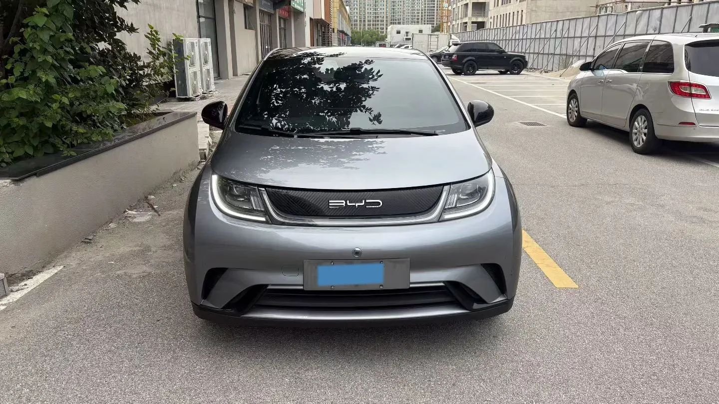 2024 BYD Dolphin BEV 44.928KWH,autocango,china used car exporter,china ev exporter,chinese used car exporter,chinese used ev exporter