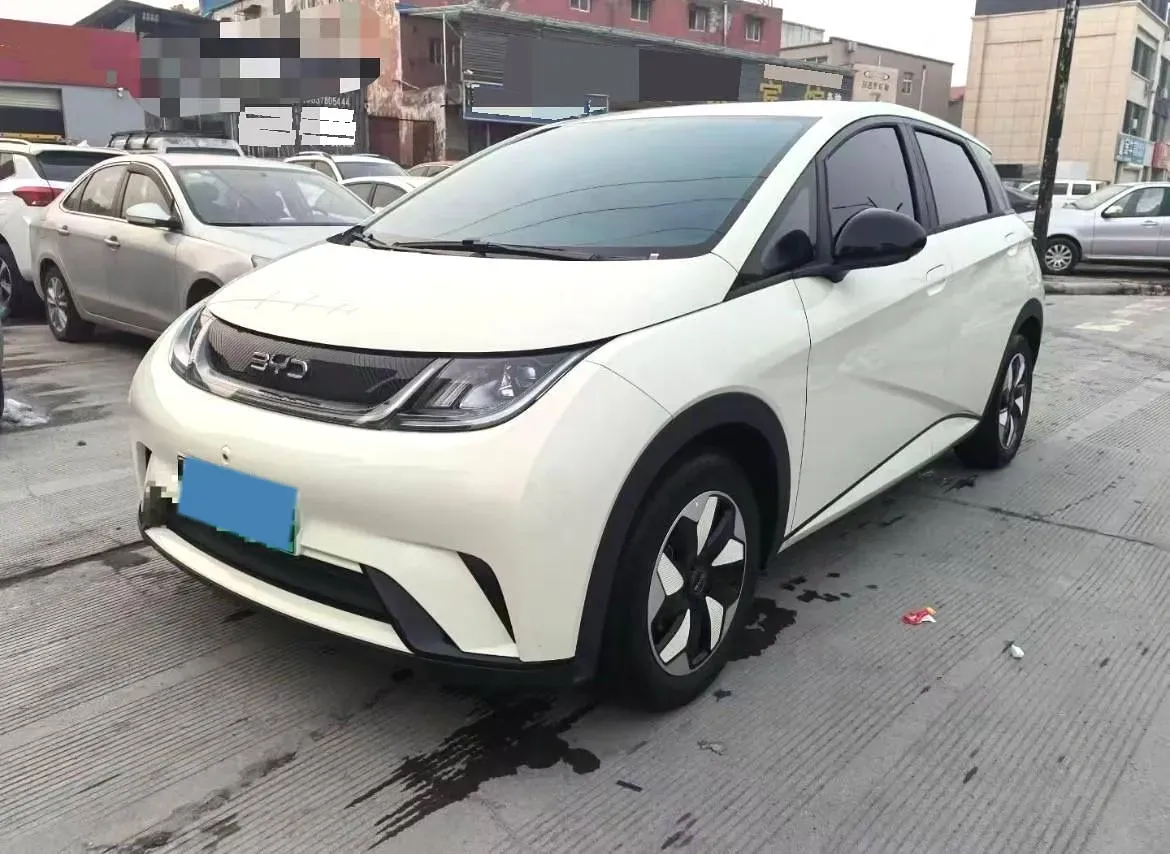 2024 BYD Dolphin BEV 44.928KWH,autocango,china used car exporter,china ev exporter,chinese used car exporter,chinese used ev exporter