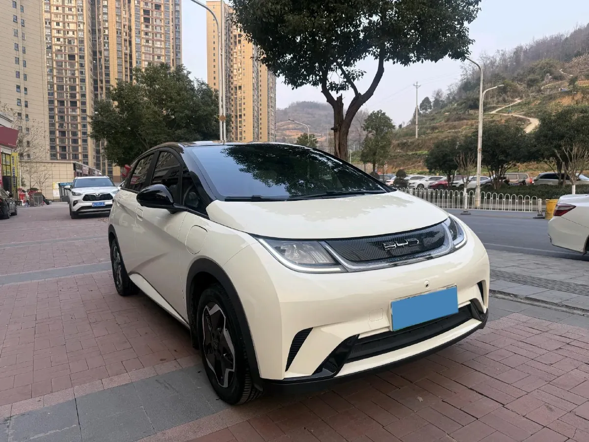 2021 BYD Yuan Pro BEV 50.1KWH,autocango,china used car exporter,china ev exporter,chinese used car exporter,chinese used ev exporter