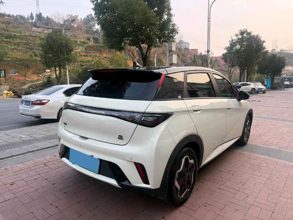 2021 BYD Yuan Pro BEV 50.1KWH,autocango,china used car exporter,china ev exporter,chinese used car exporter,chinese used ev exporter