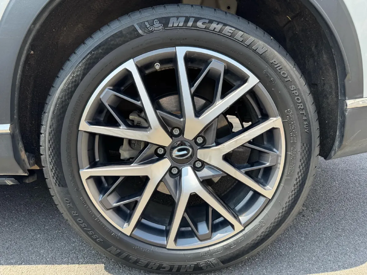 2022 GAC Trumpchi GS8 2.0T 252HP L4 8AT,autocango,china used car exporter,china ev exporter,chinese used car exporter,chinese used ev exporter