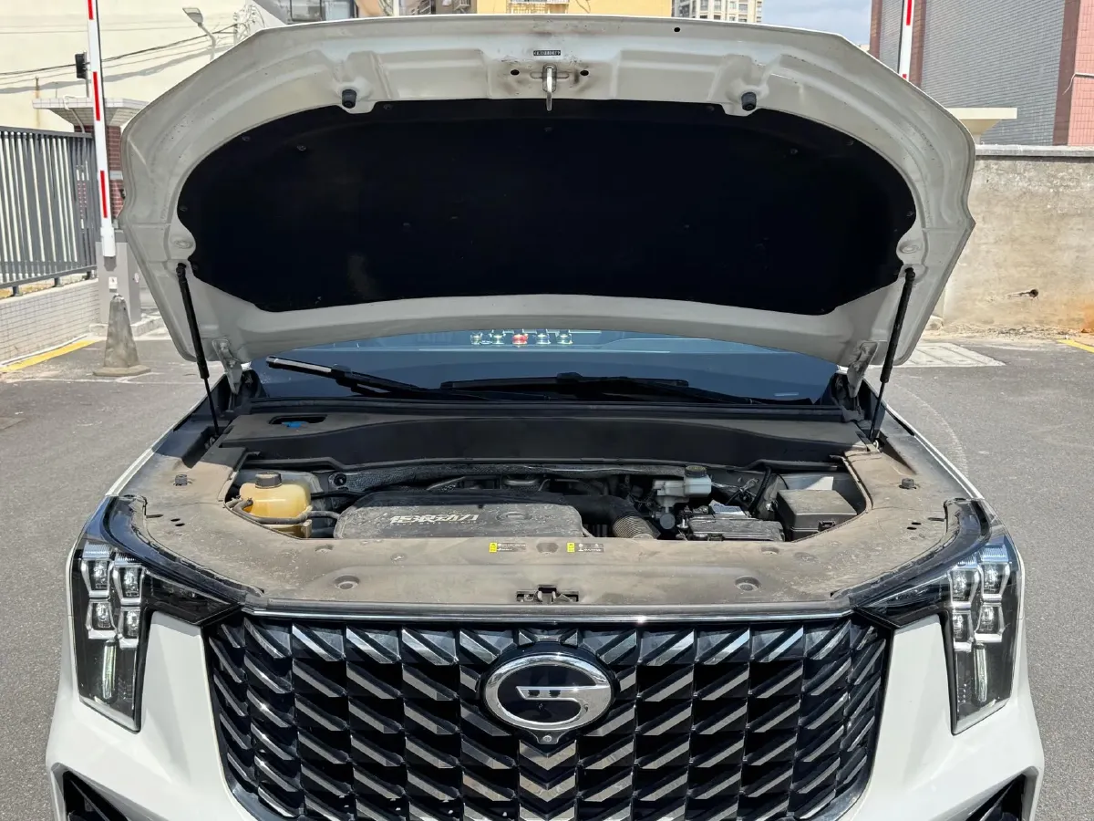 2022 GAC Trumpchi GS8 2.0T 252HP L4 8AT,autocango,china used car exporter,china ev exporter,chinese used car exporter,chinese used ev exporter