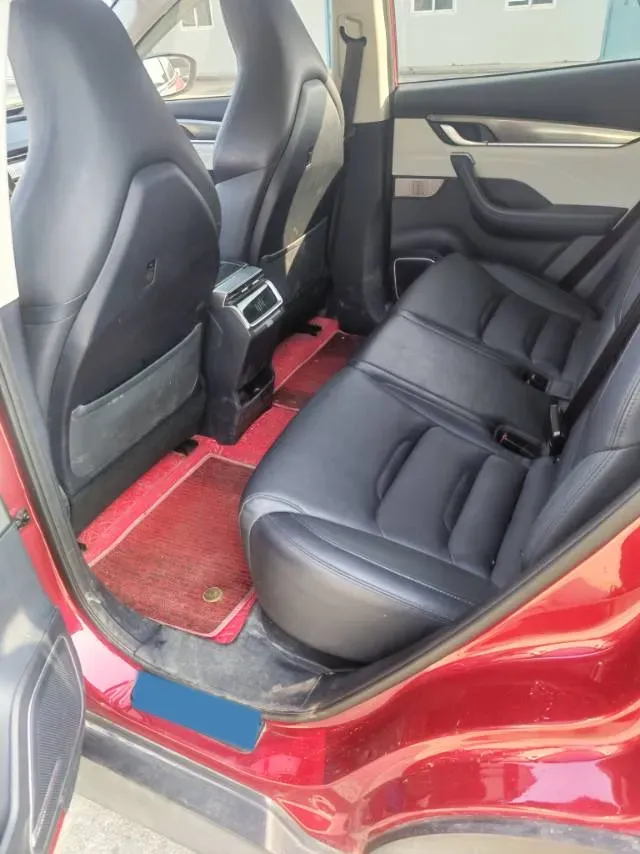 2020 Weltmeister EX5 BEV 52.56KWH,autocango,china used car exporter,china ev exporter,chinese used car exporter,chinese used ev exporter