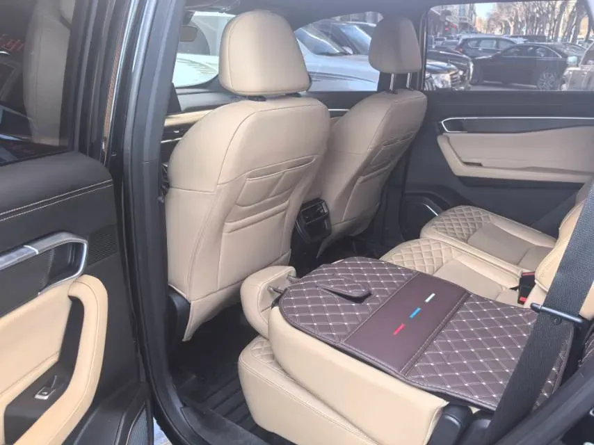 2023 Geely Okavango L 2.0T 218HP L4 7DCT,autocango,china used car exporter,china ev exporter,chinese used car exporter,chinese used ev exporter