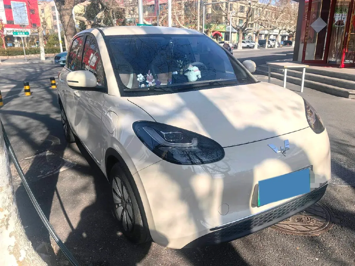 2025 WuLing BinGuo BEV,autocango,china used car exporter,china ev exporter,chinese used car exporter,chinese used ev exporter