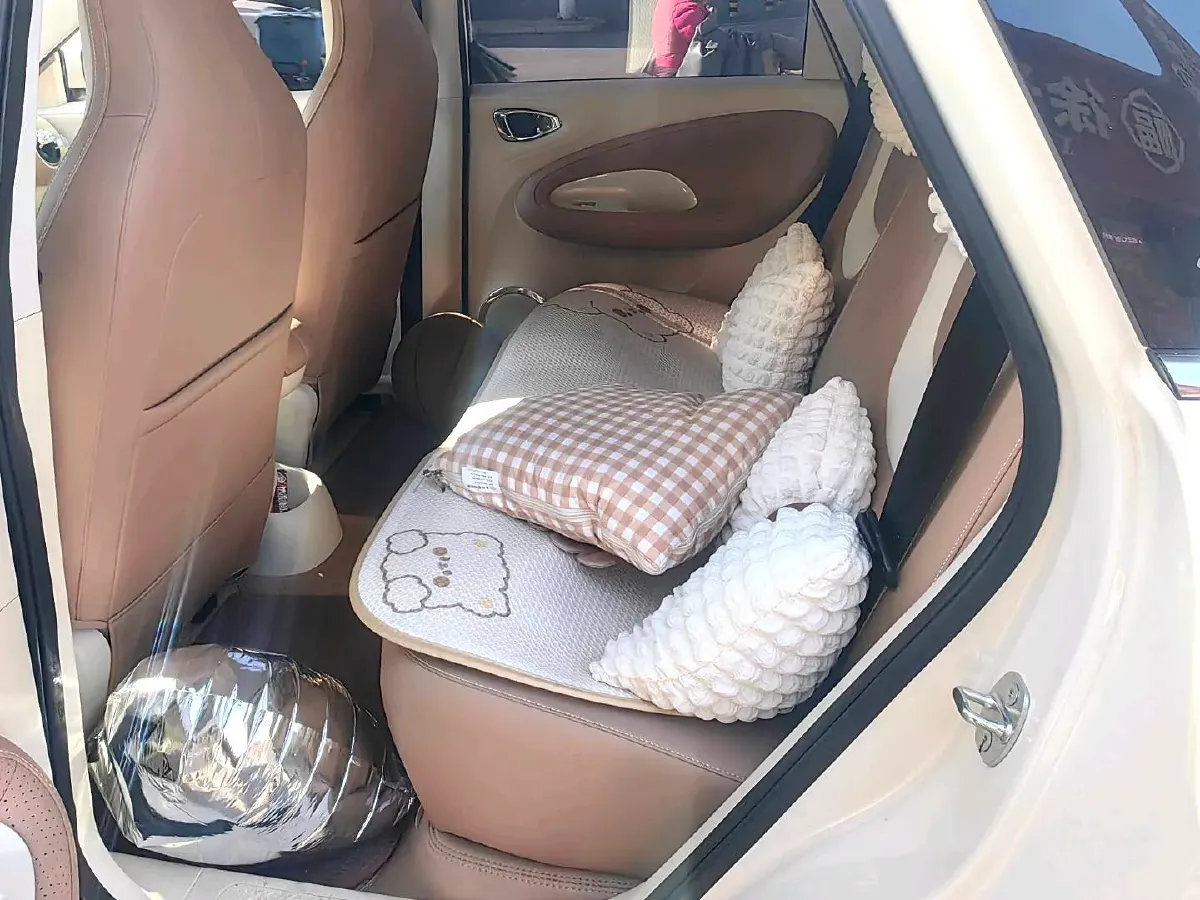 2025 WuLing BinGuo BEV,autocango,china used car exporter,china ev exporter,chinese used car exporter,chinese used ev exporter