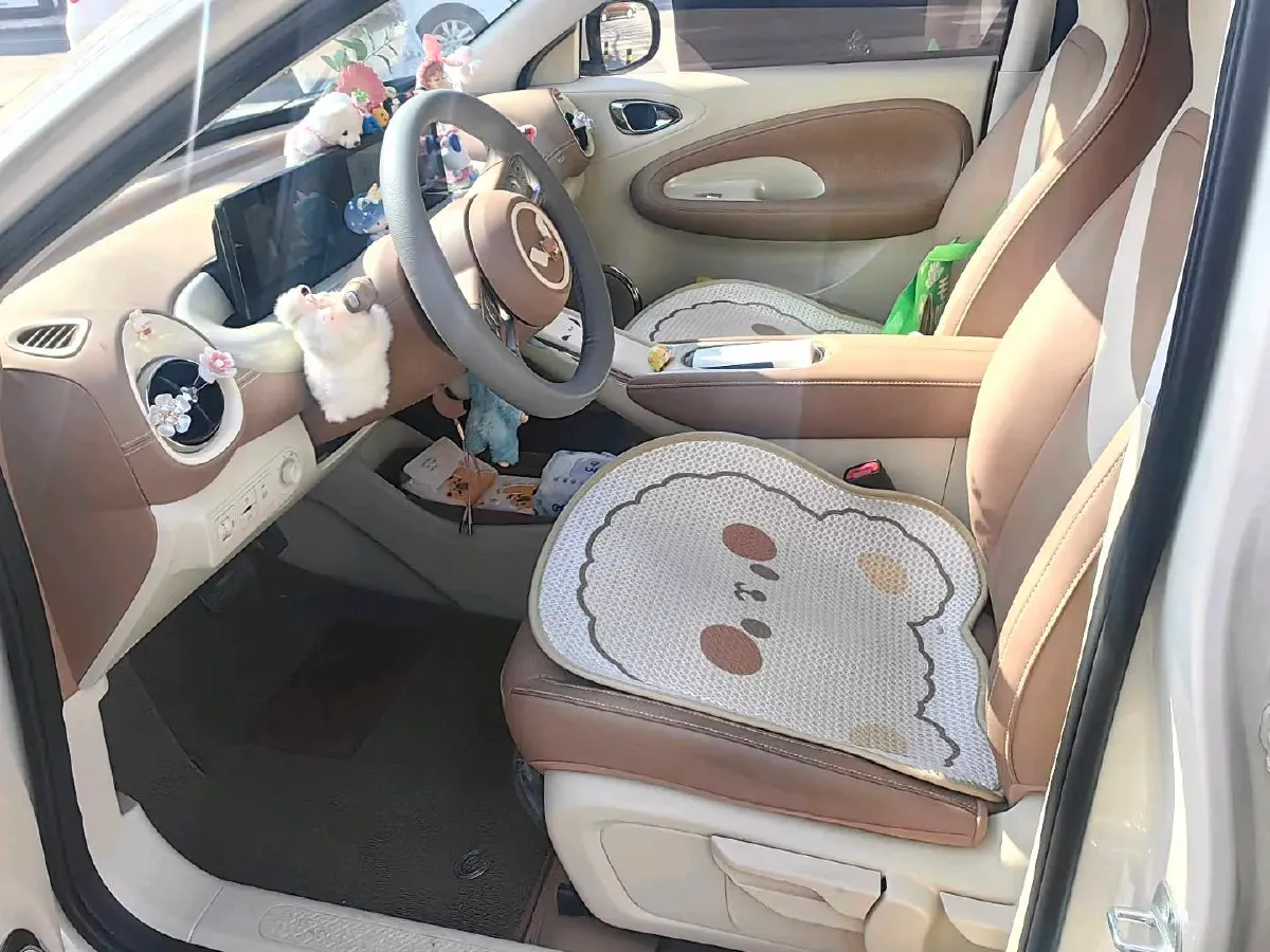 2025 WuLing BinGuo BEV,autocango,china used car exporter,china ev exporter,chinese used car exporter,chinese used ev exporter