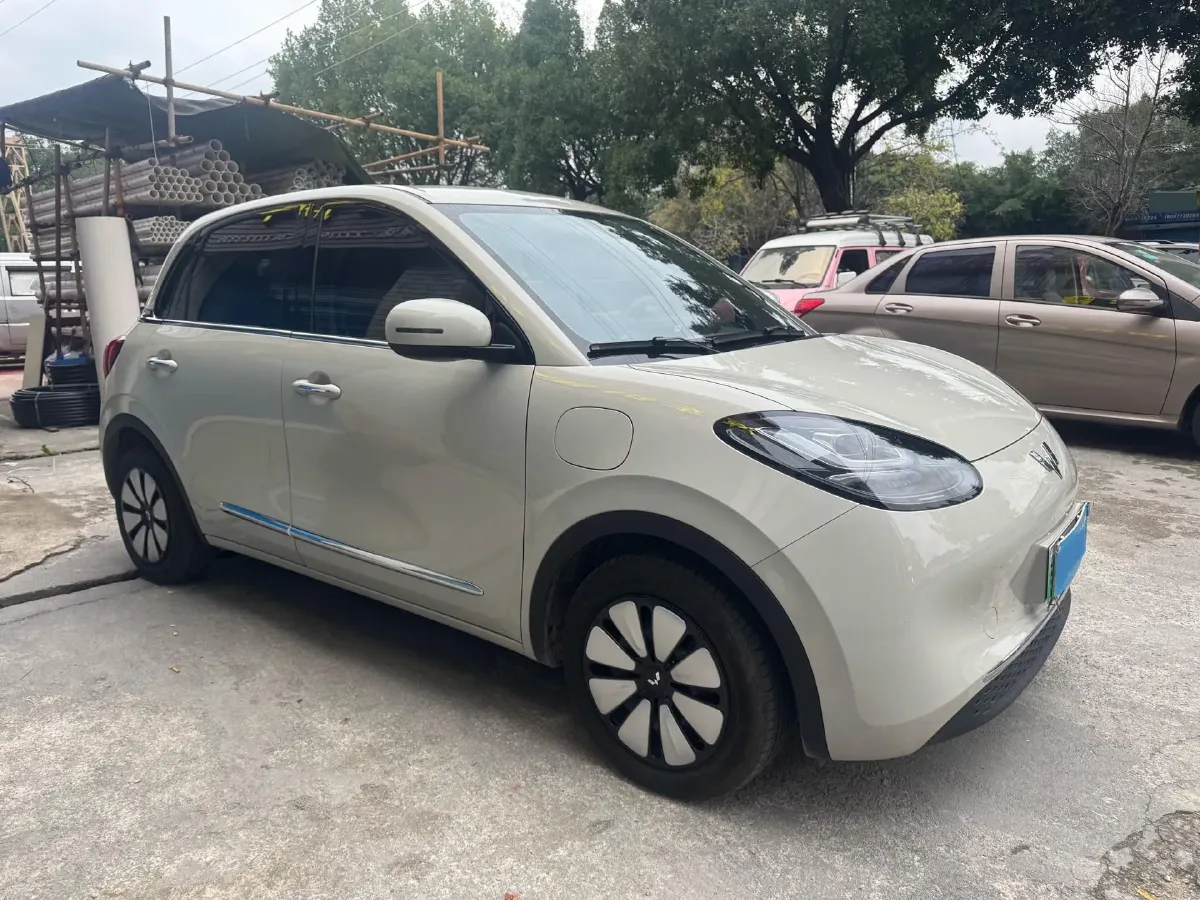 2024 WuLing BinGuo BEV 31.9KWH,autocango,china used car exporter,china ev exporter,chinese used car exporter,chinese used ev exporter