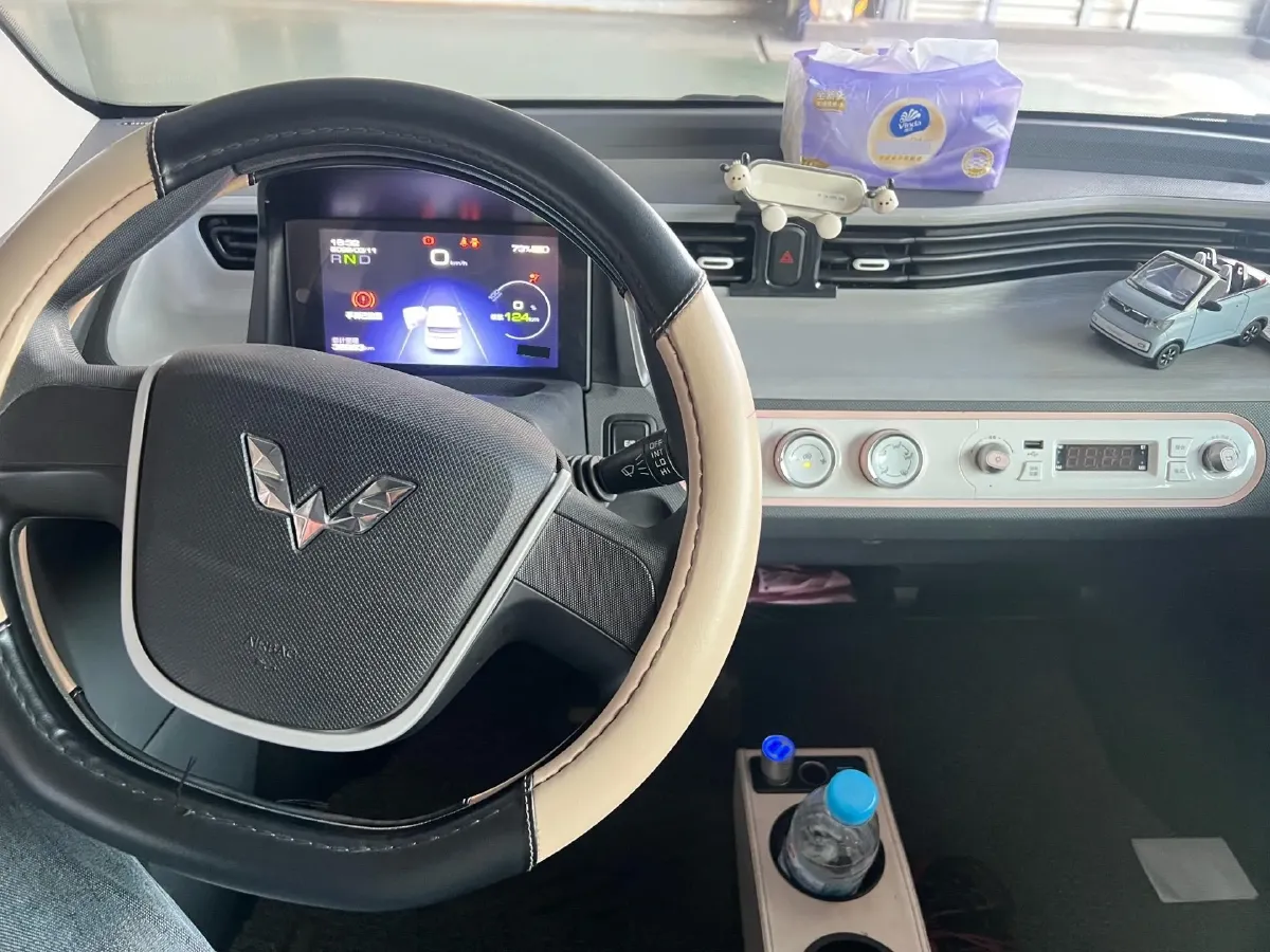 2021 WuLing HongGuang MINI EV BEV 13.9KWH,autocango,china used car exporter,china ev exporter,chinese used car exporter,chinese used ev exporter