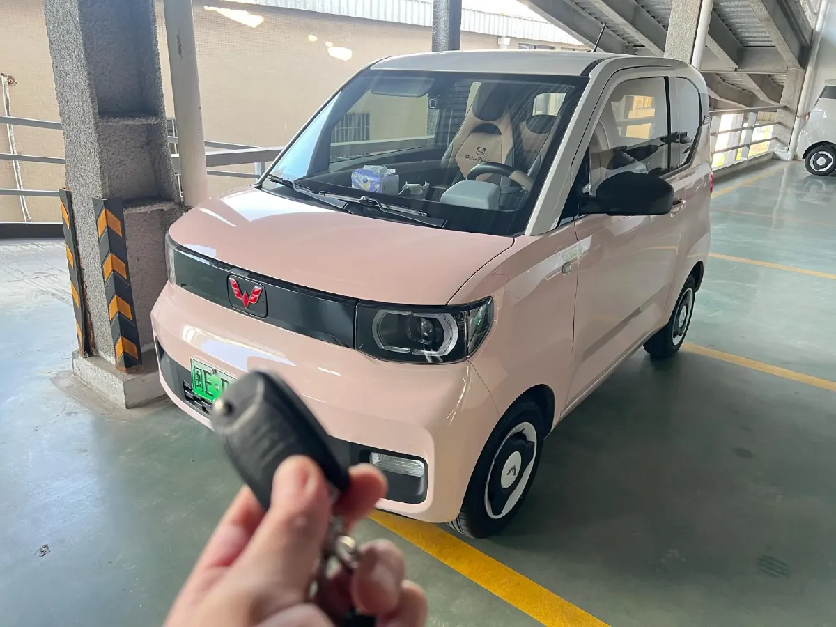2021 WuLing HongGuang MINI EV BEV 13.9KWH,autocango,china used car exporter,china ev exporter,chinese used car exporter,chinese used ev exporter