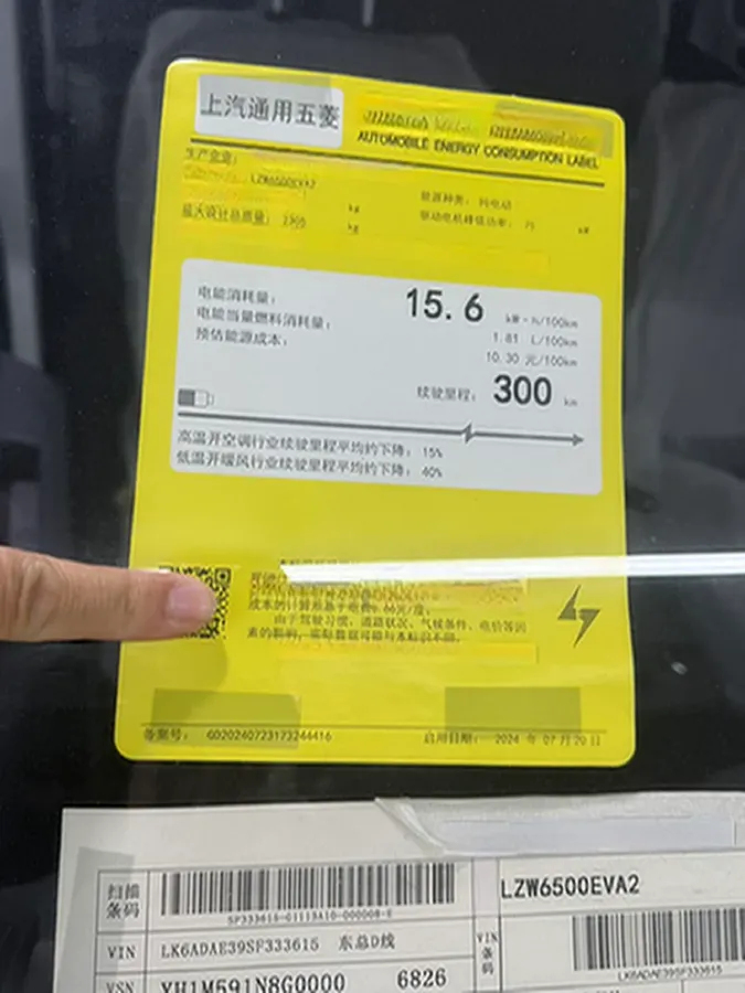 2024 WuLing YangGuang BEV 41.9KWH,autocango,china used car exporter,china ev exporter,chinese used car exporter,chinese used ev exporter